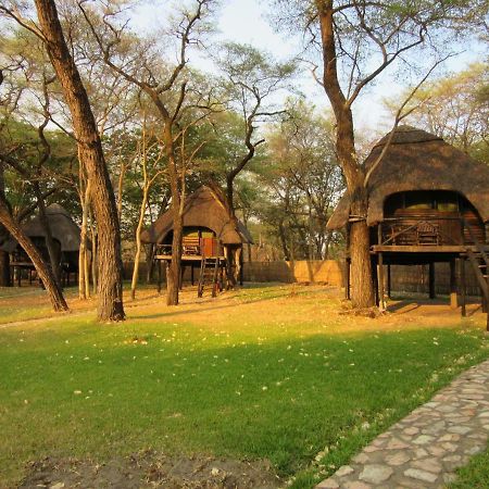 The Tree Lodge At Sikumi Dete Exterior photo